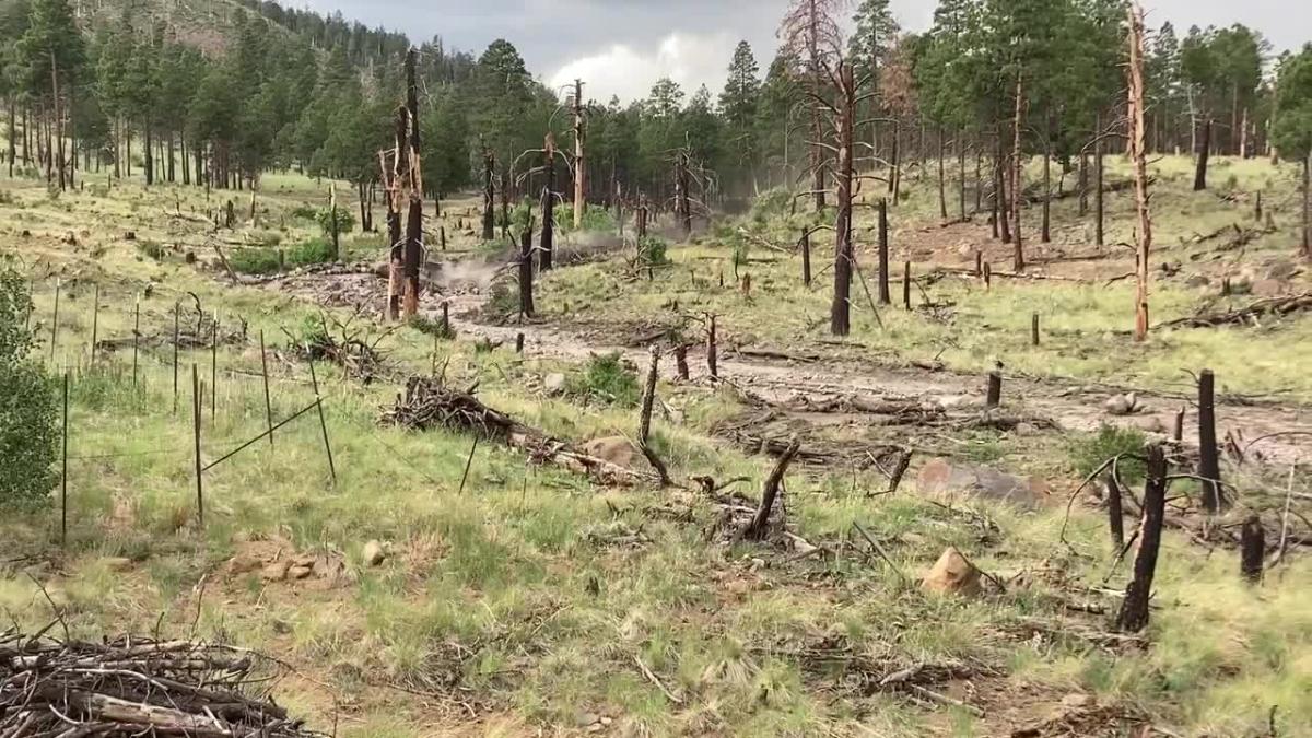 Flash Flood Sweeps Through Pipeline Fire Burn Scar Area Near Flagstaff ...