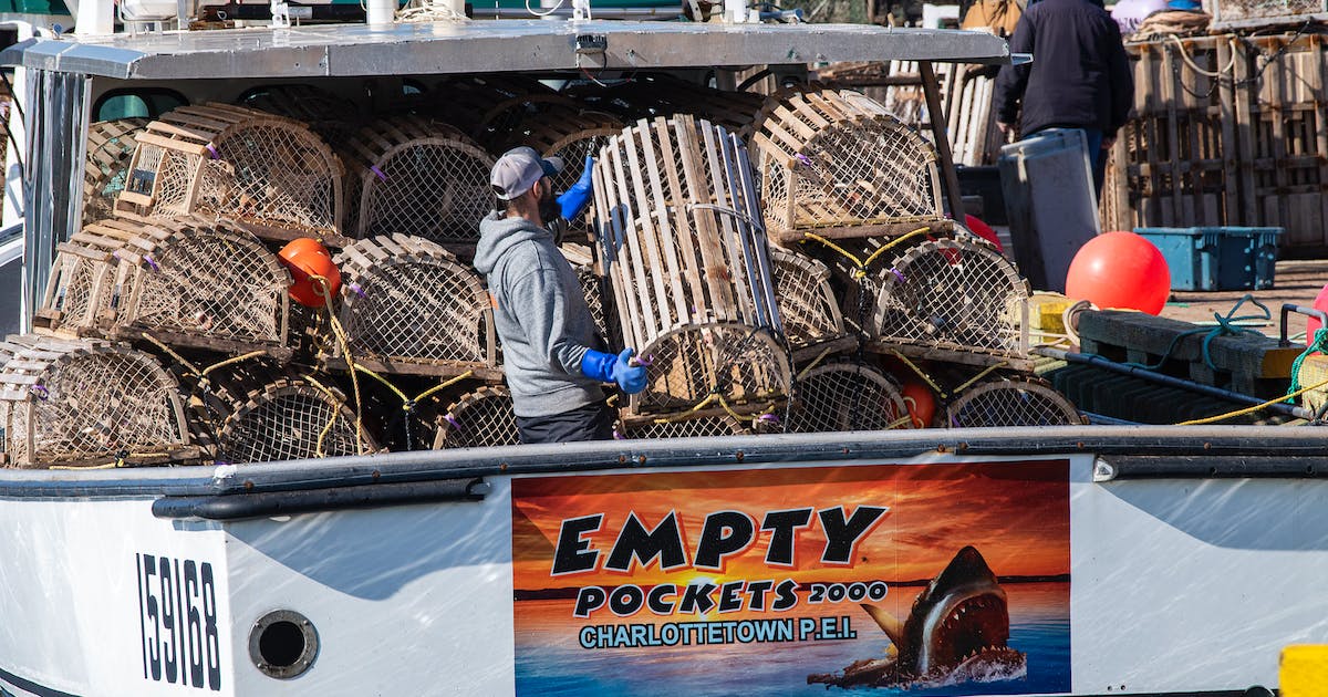 P.E.I. seasonal workers could face issues as temporary EI measures end