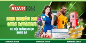 Kinh Nghiệm Soi Odds Bongdalu - Cơ Hội Thắng Cược Bóng Đá