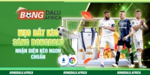 Mẹo Bắt Kèo Sáng Bongdalu – Nhận Diện Kèo Ngon Chuẩn