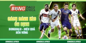 Cách Đánh Kèo Ổn Định Bongdalu - Hiệu Quả Bền Vững