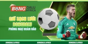 Giữ Sạch Lưới Bongdalu – Phòng Ngự Hoàn Hảo
