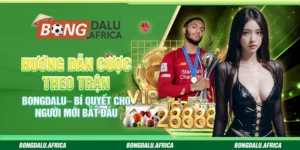 Hướng Dẫn Cược Theo Trận Bongdalu– Bí Quyết Cho Người Mới Bắt Đầu