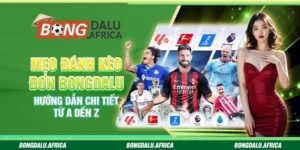 Mẹo Đánh Kèo Đơn Bongdalu – Hướng Dẫn Chi Tiết Từ A đến Z