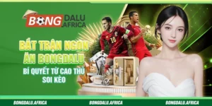 Bắt Trận Ngon Ăn Bongdalu - Bí Quyết Từ Cao Thủ Soi Kèo