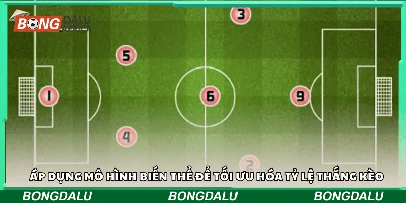 Áp dụng mô hình biến thể để tối ưu hóa tỷ lệ kèo