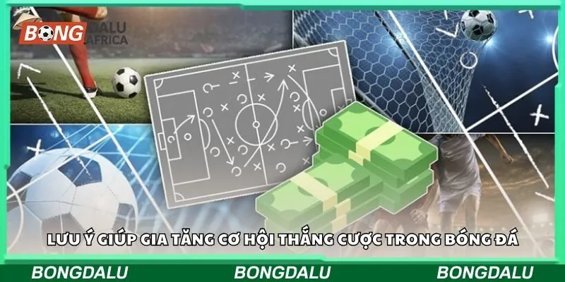 Lưu ý giúp gia tăng cơ hội thắng cược trong bóng đá