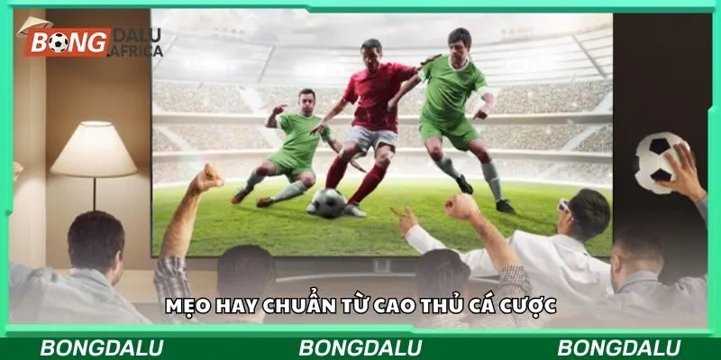 Mẹo hay chuẩn từ cao thủ cá cược