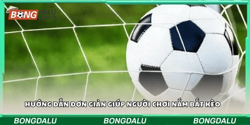 Hướng dẫn đơn giản giúp người chơi nắm bắt kèo