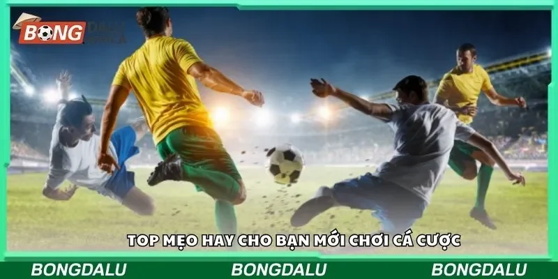 Top mẹo hay cho bạn mới chơi cá cược