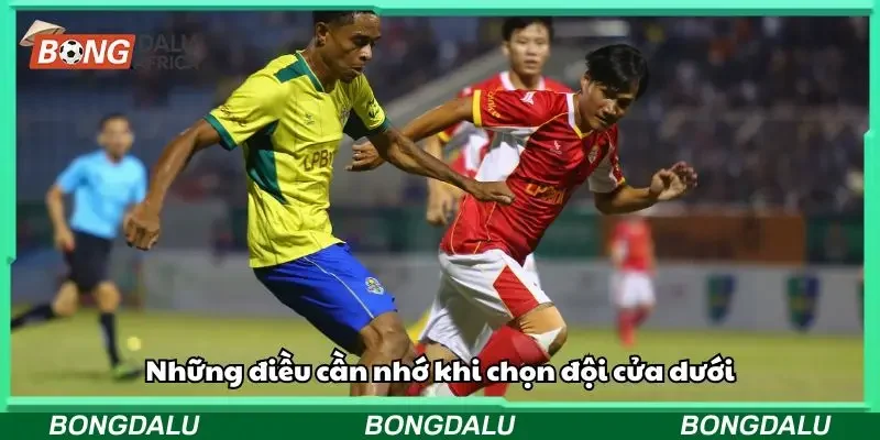 Những điều cần nhớ khi chọn đội cửa dưới