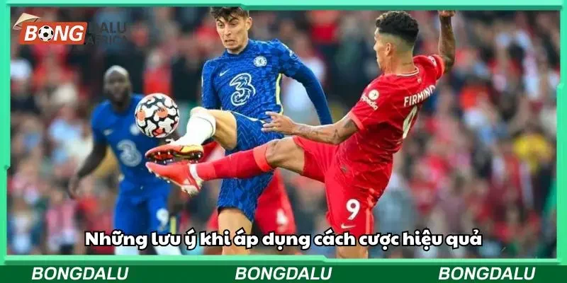 Những lưu ý khi áp dụng cách cược hiệu quả