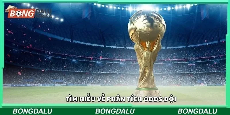 Tìm hiểu về phân tích odds đội