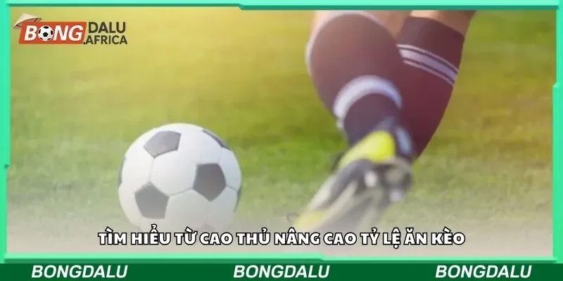 Tìm hiểu từ cao thủ nâng cao tỷ lệ ăn kèo
