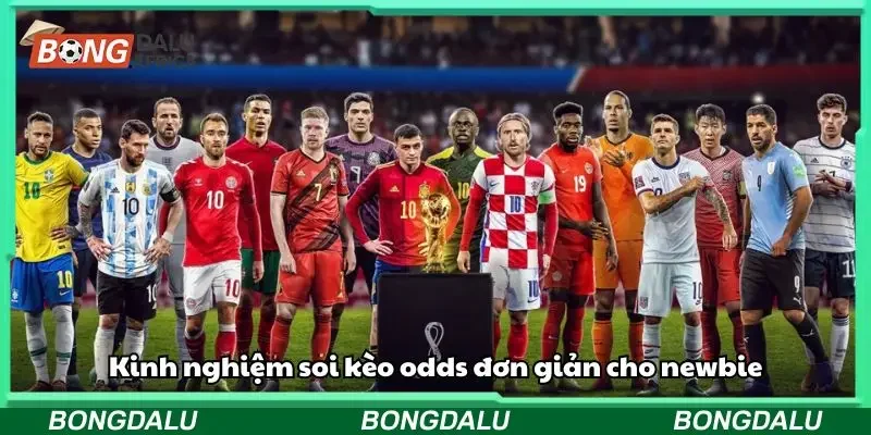 Tổng hợp các kinh nghiệm soi odds hôm nay đơn giản, hiệu quả
