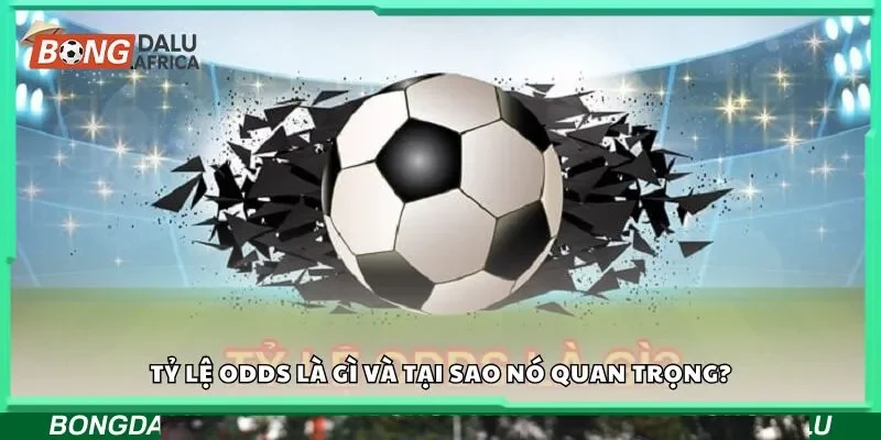 Soi tỷ lệ odds và tại sao nó quan trọng?